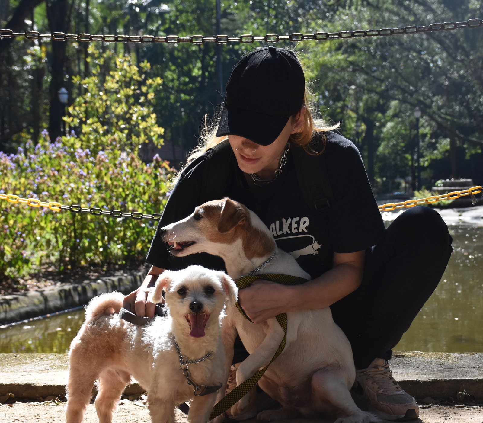 Fran, a professional dog walker